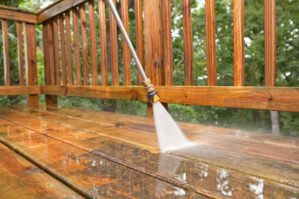 Best Rust Removal  in Rushford, MN